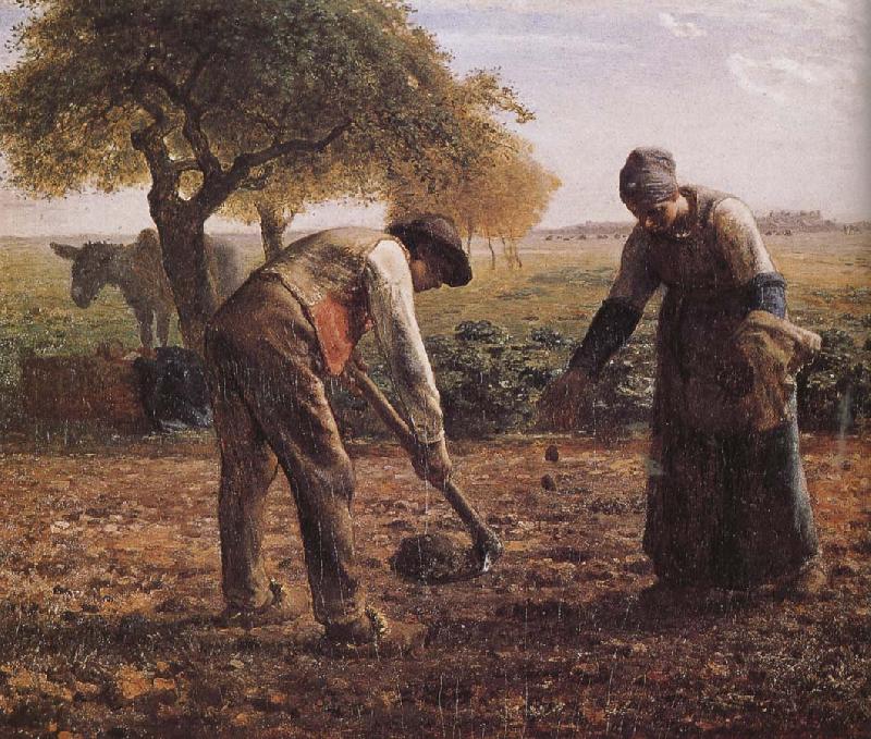 Jean Francois Millet Sower China oil painting art